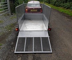 New 6x4 galvanised trailer mesh side