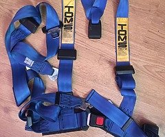 TOM'S Racing/Sparco Harness