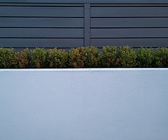 Composite Cladding