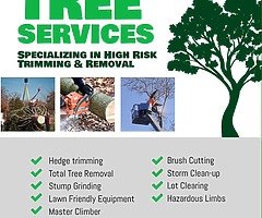 Tree cutting/stump removal