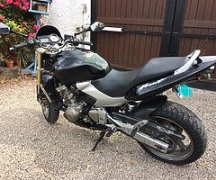 CB600f Hornet 600cc - Image 10/10