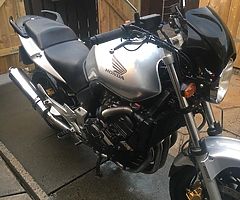 2005 cbf600