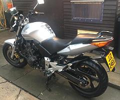 2005 cbf600