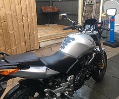 2005 cbf600