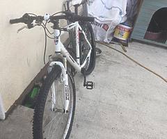 Used push bike for sale - Image 4/4