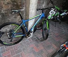 Carrera hellcat limited edition 29 er