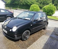 01 lupo