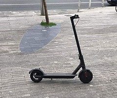 Scooter 365 Xiaomi