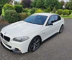 2010 bmw 520d m sport manual