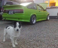 Wanted, ae86/ke70/charmant