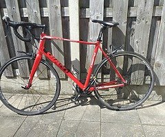 Giant Defy Racer - Carbon fiber frame (180-185 cm), Shimano Trans/ Brakes - Image 4/4