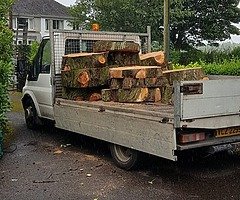 Timber for sale