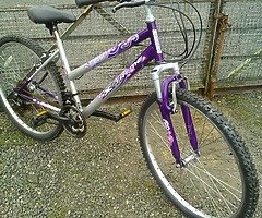 Few bike's .  Portadown .