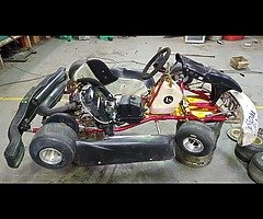 Rotax 125 go kart - Image 8/10