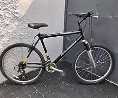 Amazing Bike