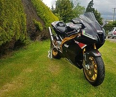 Aprilia rsv 1000r factory