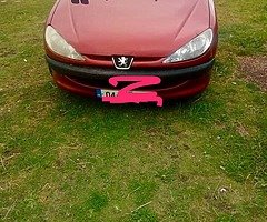 Peugeot 206 1.4 diesel 04