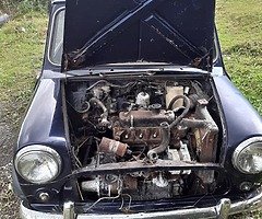 1982 Mini project