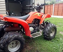 Quad 200cc Adult size the bike is 100%