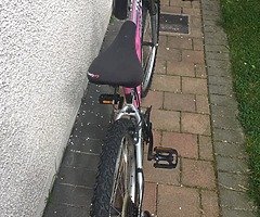 26” wheel ladies mountain bike