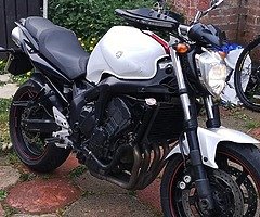 2008 Yamaha Fz6