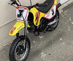 Suzuki jr 50