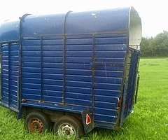 Horse box's - Image 5/9