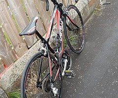 Junior racer bike