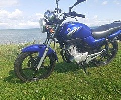 Yamaha ybr 125 - Image 5/6