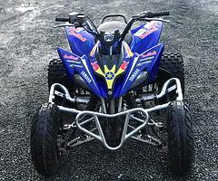 2010 Yamaha Raptor 250cc