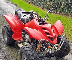 Quad 49ccm medium size