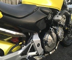 Honda hornet