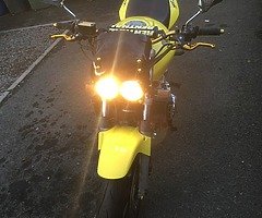 Honda hornet