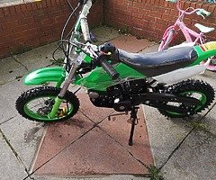 Brand New 125 Pitbike