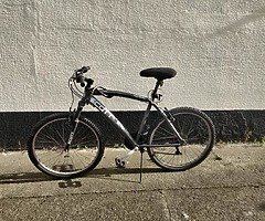It's a steal deal. Bike for Sale