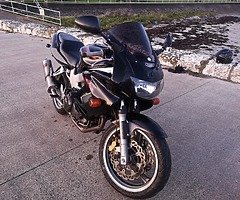 Honda VTR 1000 Firestorm