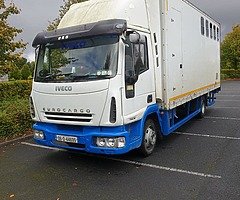 Iveco horsetruck - Image 4/6