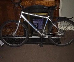 Mercury bike