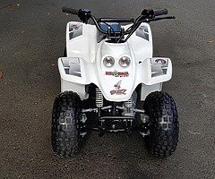 Quadzila buzz 50 kids quad demo model from muckanfun