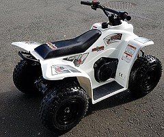 Quadzila buzz 50 kids quad demo model from muckanfun - Image 6/8