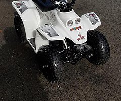 Quadzila buzz 50 kids quad demo model from muckanfun - Image 8/8