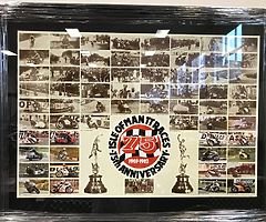 Isle of Man TT Mounted & Framed 75th Anniversary IOM TT Rider Collage Poster 1907 - 1982 Joey Du