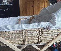 Swine and moses basket