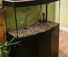 Fish tank 140litres