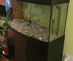 Fish tank 140litres