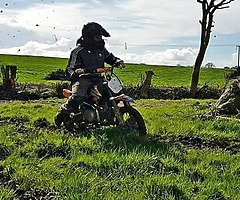 Looking for a pitbike