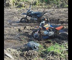 Looking for a pitbike