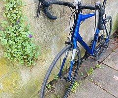 Giant racer bike