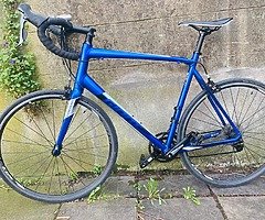 Giant racer bike