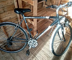 Hybrid bike - Image 1/4